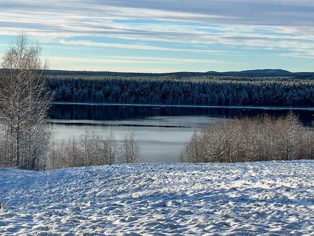 Snowy landscape, frozen trees and open water on the river